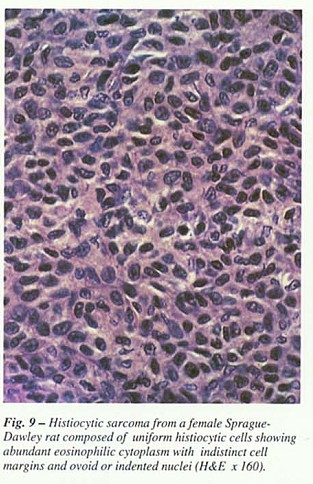 Fig9.jpg