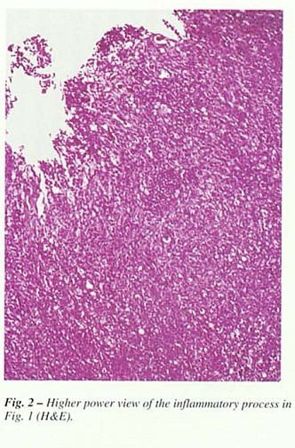 Fig32.jpg