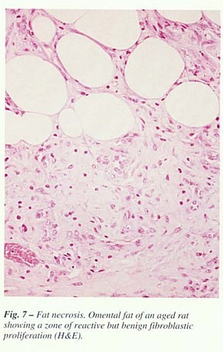 Fig37.jpg