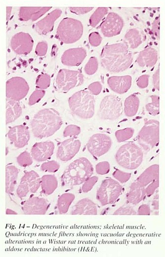 Fig44.jpg