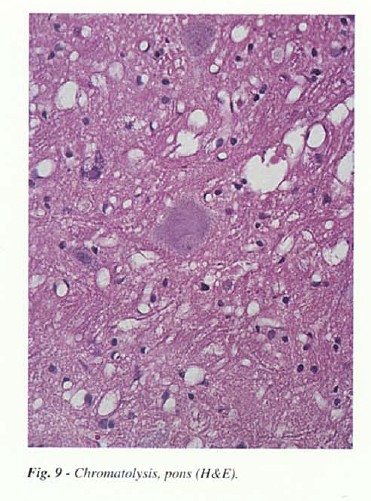 fig9.jpg
