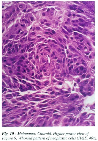 fig10.jpg