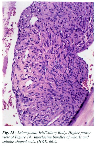 fig15.jpg