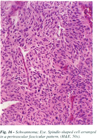 fig16.jpg