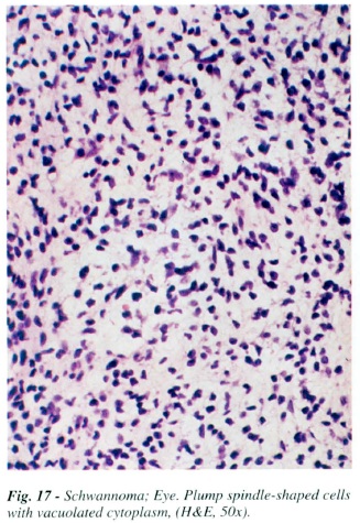 fig17.jpg