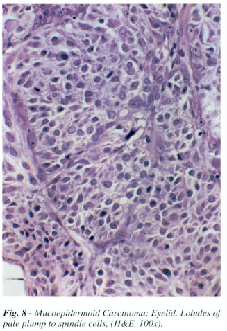 fig8.jpg